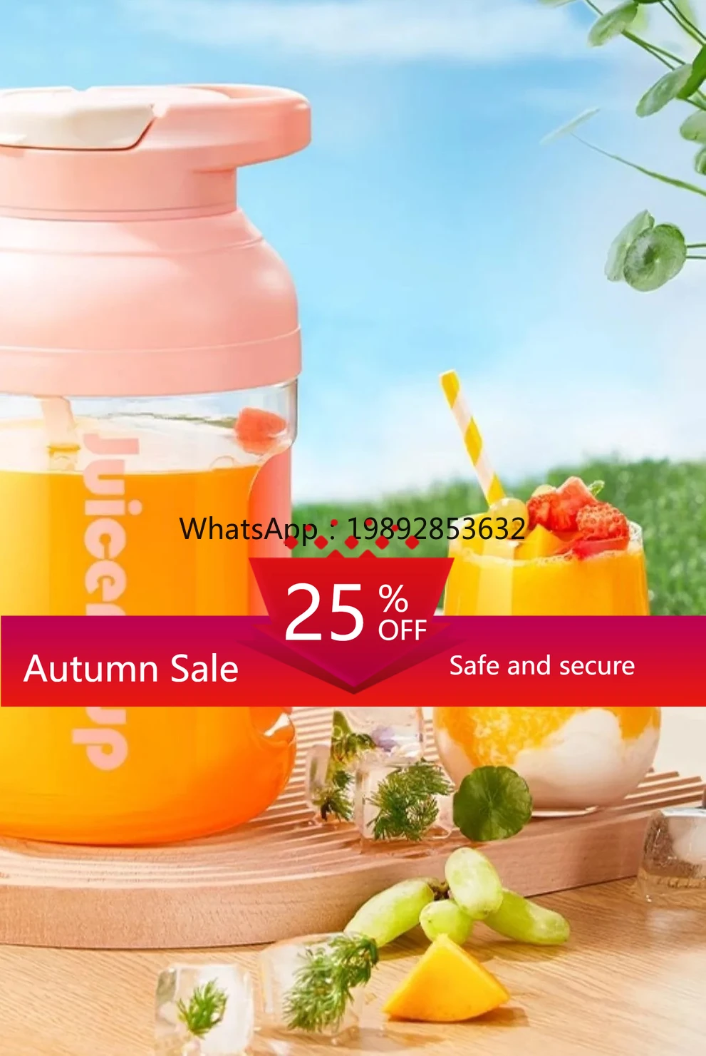 CC21Portable Juicer Small Mult - огляд і ціна Juicer
