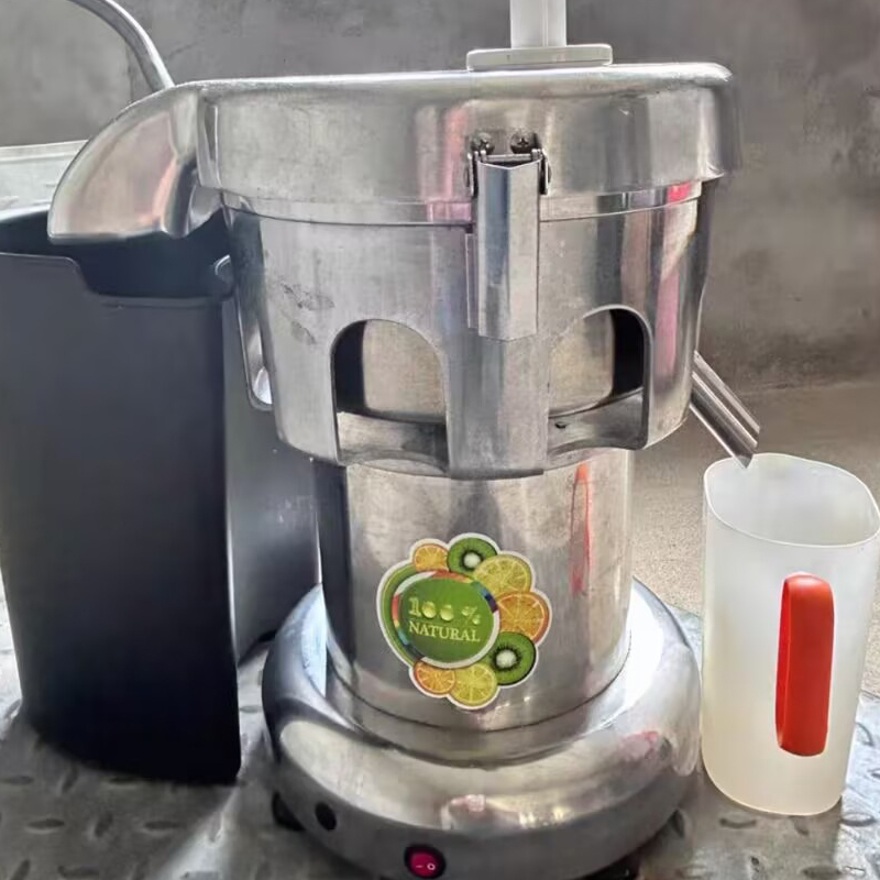 220V Juicers Electric Professi - огляд і ціна Juicer